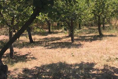 Casă cu 2 camere cu Teren 3389 Mp în Leu - 3