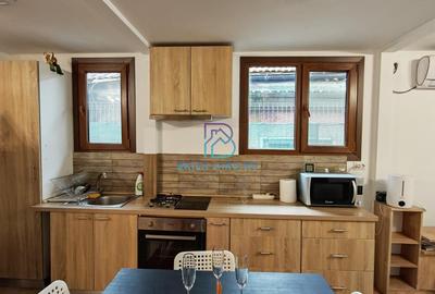 Casă individuală cu 2 camere cu Canalizare în Bucureștii Noi - 7