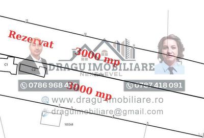 Teren intravilan cu utilita?i 3.000 mp / lot Sl... - 4
