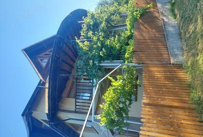 Vand vila jud Prahova com Drajna de Sus - 4