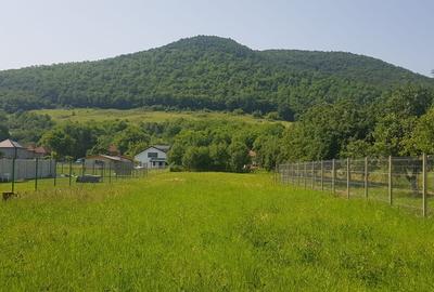 Teren intravilan, zona Vetel - 2