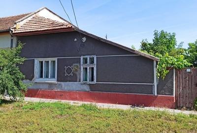 Casă cu 2 camere cu Teren 942 Mp în Periam - 4