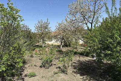 Casa cu 3 camere Zaicesti - 8