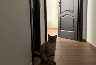 Aparment Marului modern 2 camere - 5