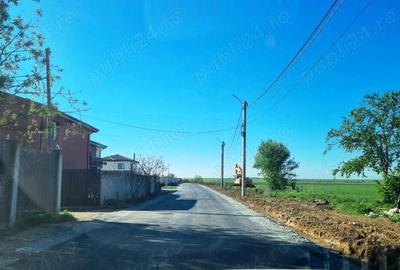 Vanzare Teren Rezidential Cernica Balaceanca 4000mp - 1