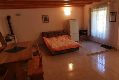 Cabana excelenta in sat Salard com Lunca Bradului jud Mures - 3