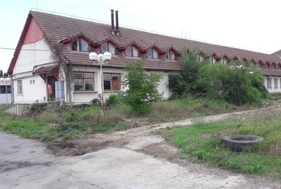 Casă cu 4 camere în Băcia - 6