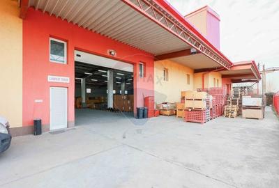 Spațiu industrial, de 500 mp, în Vest - 3