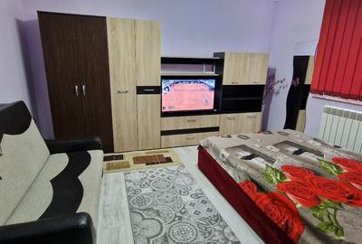 Brotăcei (tic-tac) centrală pe gaz - 2