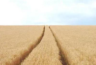 Spațiu comercial, în Cauaceu