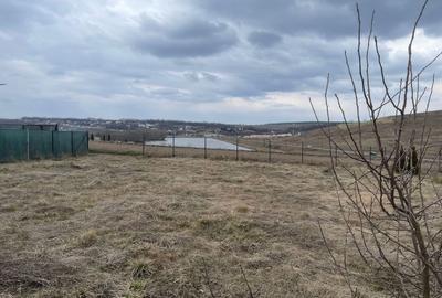 Spațiu comercial, în Curtești - 7