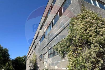 Inchiriere spa?iu industrial - 5