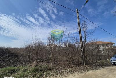 Spațiu comercial, în Balotești - 3