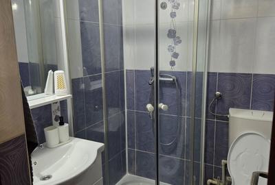 Garsonieră semidecomandată în Teiul Doamnei - 7