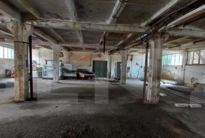 Spatiu industrial, hale in Unirea - 2