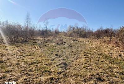 Casă cu 1 camere cu Teren 6000 Mp în Călinești - 5