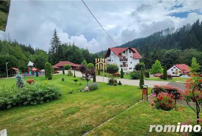 Penisune in Bucovina! Sucevita! De Vanzare! 0727817187 - 11
