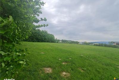 Spațiu comercial, în Cheile Râșnoavei - 8