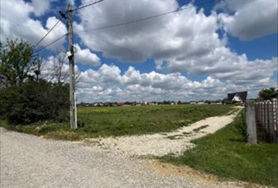 Teren Magurele 2403 mp Str Stejarului New 2025 - 4