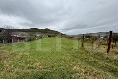 Teren 4000 mp,autorizatie de constructie Lechinta - 16