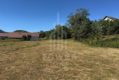 4 Parcele de vanzare | Rasinari - 2