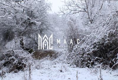 Teren Construcții intravilan de 20000 mp, în Dângești - 23