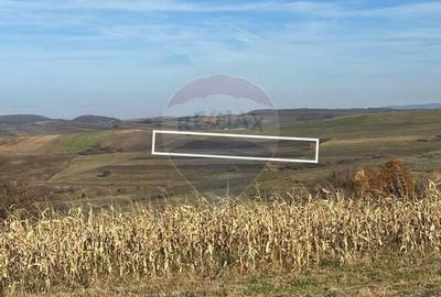 DE VANZARE - TEREN agricol - 1