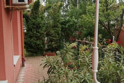 Casă individuală cu 7 camere cu Canalizare în Iancu Nicolae - 21