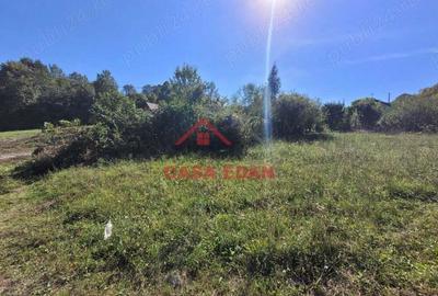 Teren intravilan in Poiana Campina 4285 mp parcelabil 11,6e - 16