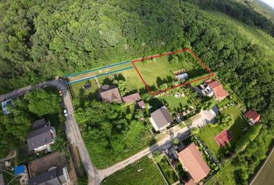 REL4001125 Teren intravilan in padure 3000mp cu Livada si imprejmuit - 1