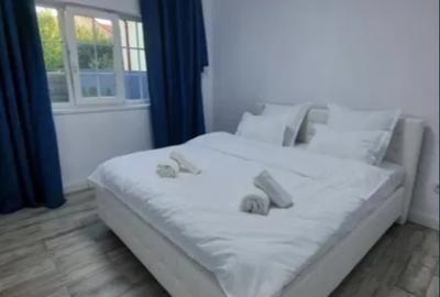 Casa cu 3 camere, 95 mp utili, 500 mp teren, Visoianu - 3