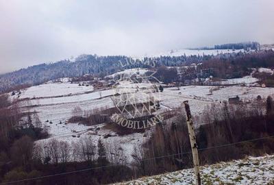 Spațiu comercial, în Vișagu - 7