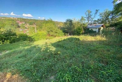 Spațiu comercial, în Central