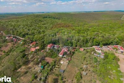 Casă cu 4 camere cu Teren 1425 Mp în Podgoria - 14