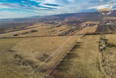 Teren extravilan de 5.800 mp in Sfantu Gheorghe:oportunitate