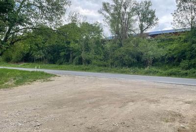 Teren de 2500 mp, în Central - 5
