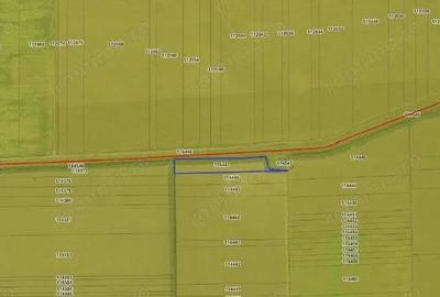 Teren extravilna Cota parte 1/16, CObadin, ID: R2782865 - 8
