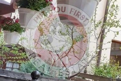 Apartament cu 2 camere decomandat în Berceni