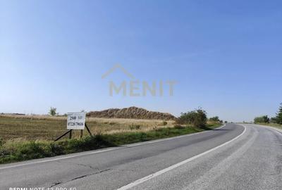 Teren agricol extravilan de 2500 mp, în Cocorăștii Colț - 6