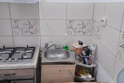 Garsonieră în Craiovița Nouă - 14