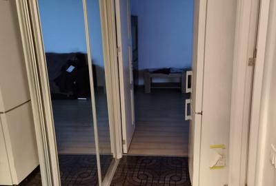 Apartament cu 2 camere de inchiriat in zona Pantelimon-Mega Mall - 9