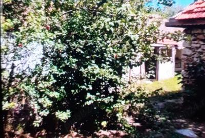 Casa de vanzare in satul ABRUD comuna ADAMCLISI - 9