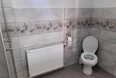 Casă cu Teren 5000 Mp în Corbeni - 8