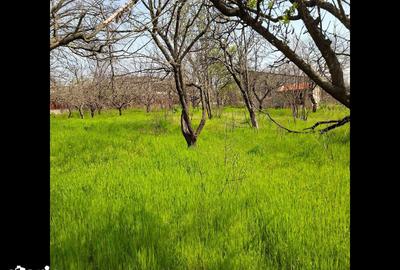 Teren de 4908 mp, în Bariera Vâlcii - 3