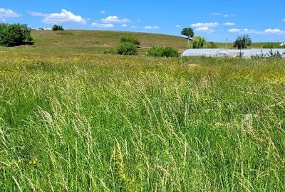 Teren Intravilan Podul Olt - 1