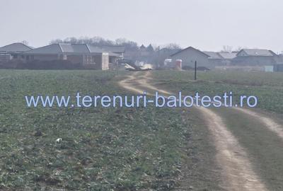Teren intravilan Balotesti,langa ansamblul Terra si padure, 17000 euro - 7