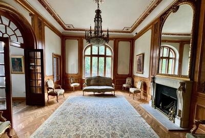 Vila superba Parcul Ioanid Vila superba Parcul Ioanid - 4