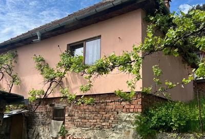 Casă cu 2 camere cu Teren 259 Mp în Rășinari - 3