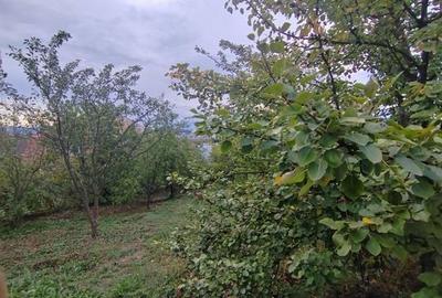 Casa - 24 ari de teren - Valea Ghinzii - 8