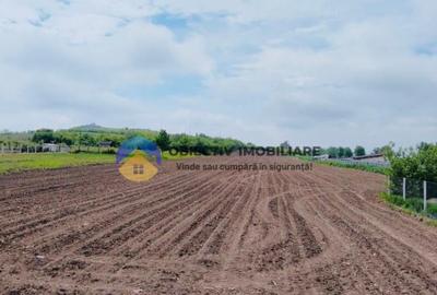 Teren- Com. Stefan cel Mare- jud. Neamt - 2